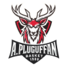 Association Pluguffan Basket
